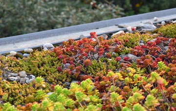 the cost of Lickhill green roof installation