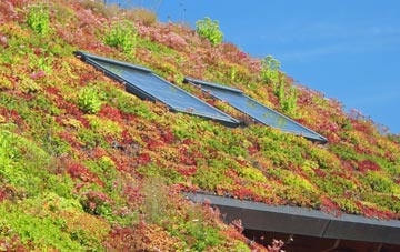 Lickhill living roof systems